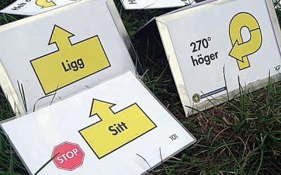 Rallylydnad Årsta, 20-21/9 – 2 platser kvar