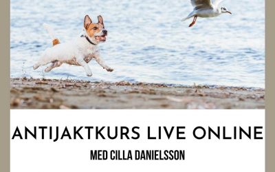 Antijaktkurs LIVE ONLINE!