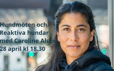 Hundmöten och Reaktiva hundar med Caroline Alupo