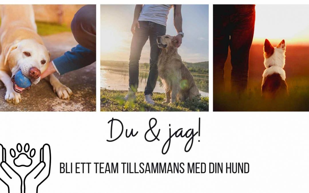 Ny kurs! Vi = Ett team