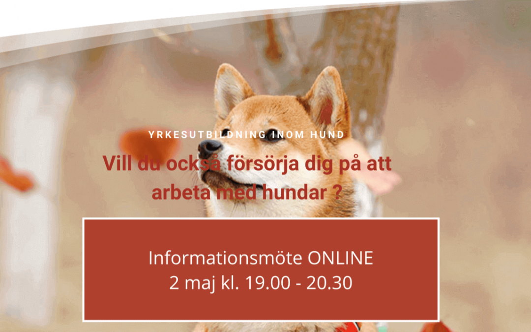 Cillas informationskväll om yrkesutbildningar