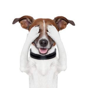 "Hjälp en människa!" - Åkeshov, 18/11 2025 - bara 1 plats kvar!