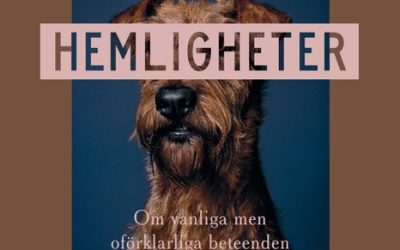 Nu finns poddavsnittet från författarträffen med Per Jensen!