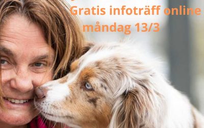 Info träff om skolan ONLINE måndag 13/3