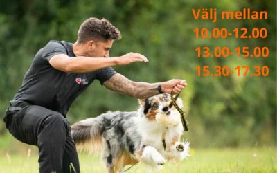 Workshop med Craig Ogilvie, 3/6 Haninge Hundhall