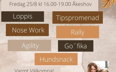 Öppet Hus i Åkeshov 25/8 16.00 – 19.00