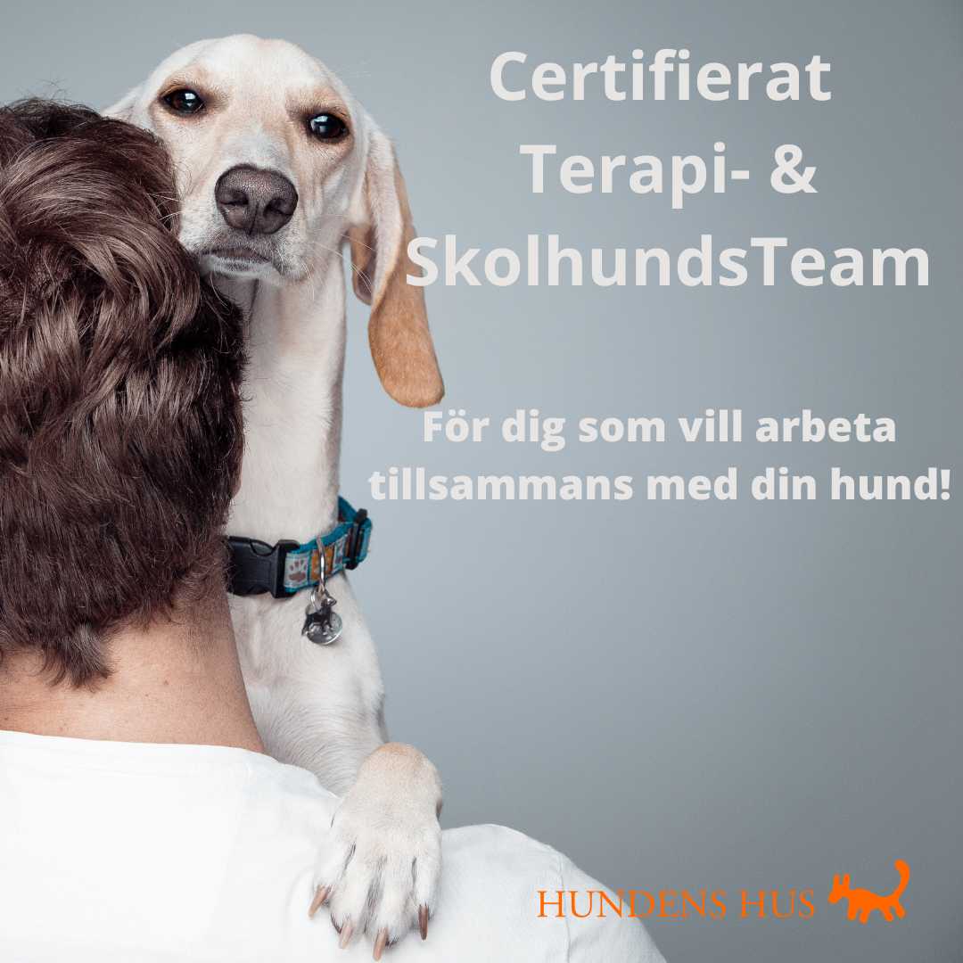 Certifierat Terapi & Skolhundsteam, 24-26/4 2026