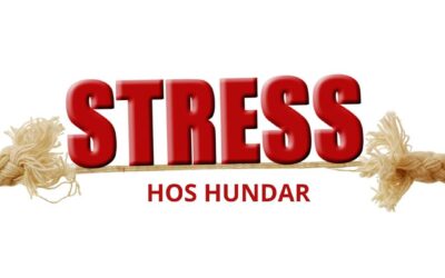 NYHET! Föreläsning Stress hos hundar 9/1 – 250 kr