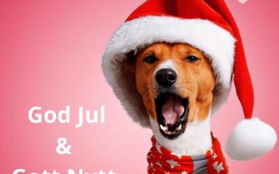 GODJUL erbjudande – vi bjuder på anmälningsavgiften