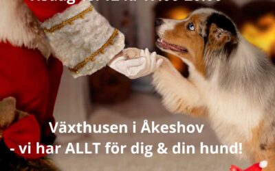 Öppet hus tisdag 19/12 kl 17.00-20.00