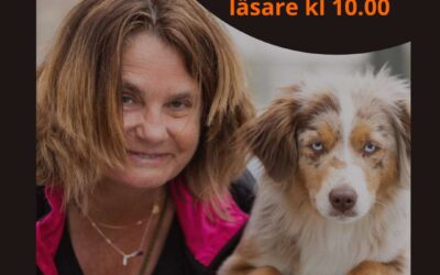 Cilla chattar med Aftonbladets läsare
