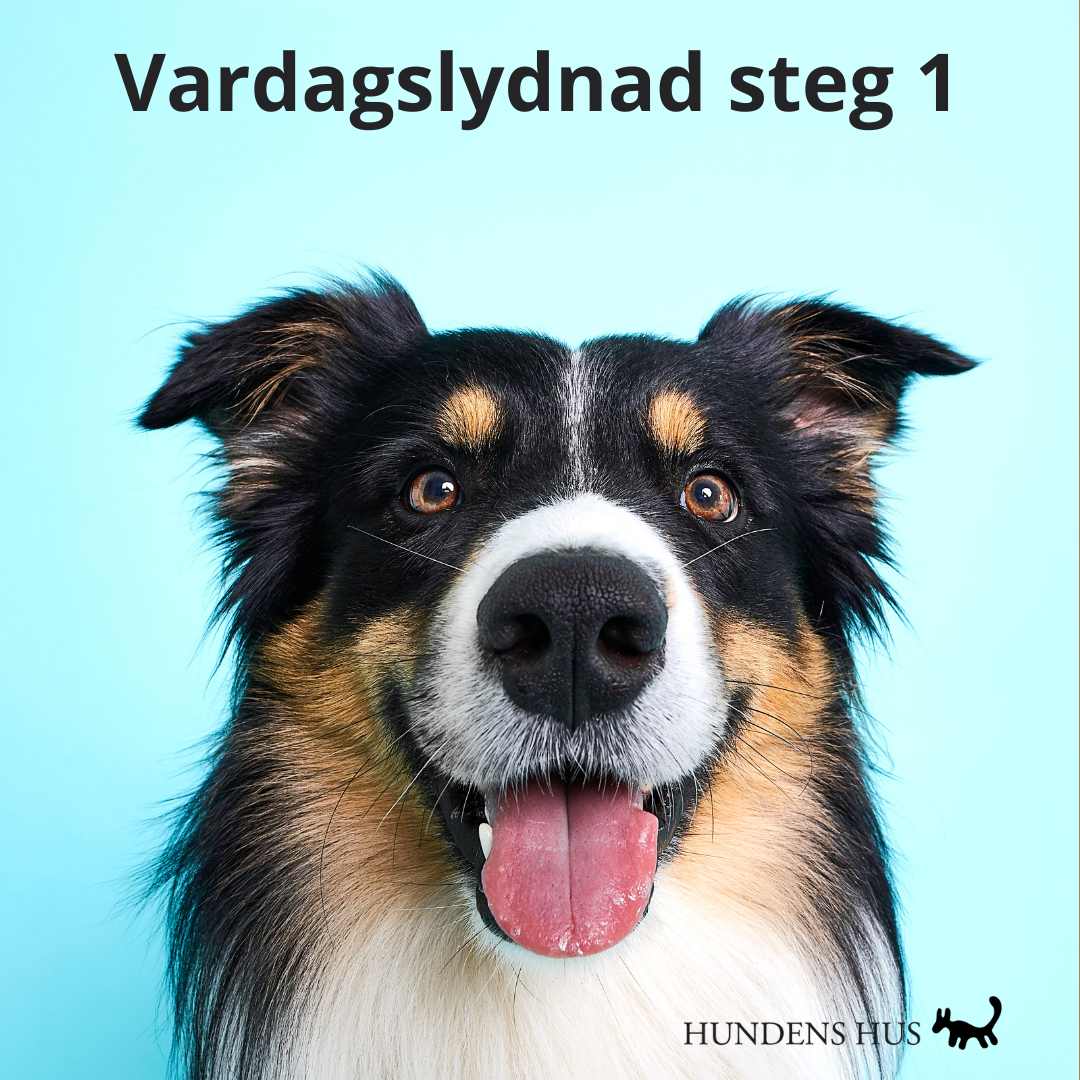 Vardagslydnad steg 1 - Åkeshov, 4/12 2025 - 3 platser kvar