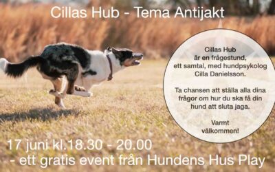 Gratis LIVE online på Hundens Hus Play