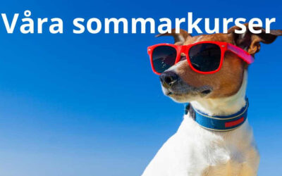 Sommarens kurser – slutet på juli/augusti