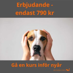 Nyårsrädsla – Åkeshov, 1/12 2026