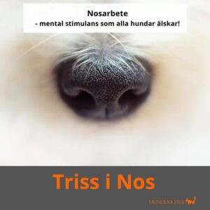 Triss i nos - Åkeshov, 13/4 2026 - bara 1 plats kvar!