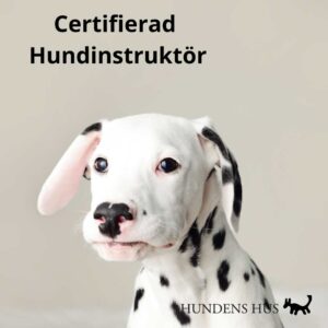 Certifierad Hundinstruktör 26-27/9 2026