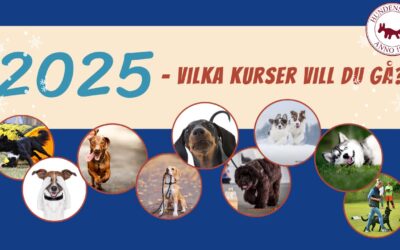 Nu kan du boka kurser inför våren 2025…