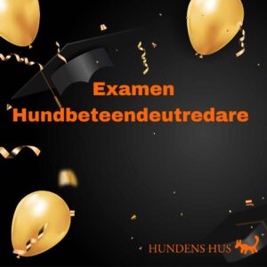 Examen - Hundbeteendeutredare   2025