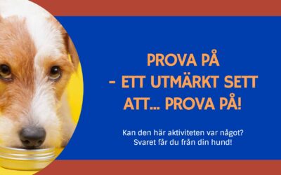 Prova på – ni kanske älskar det!