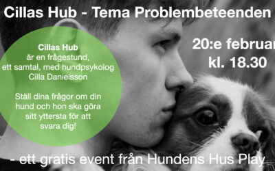 LIVE online på Hundens Hus Play
