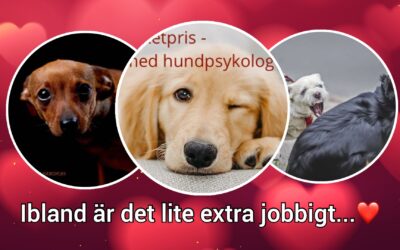 och då kan man behöva lite extra stöd.
