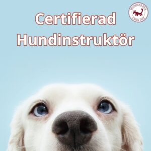 Certifierad Hundinstruktör  Sommarintensiven start 14-17/5 2026