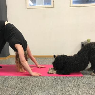 DogaYogakurs, Årsta - 23/3 2026 - bara 1 plats kvar!