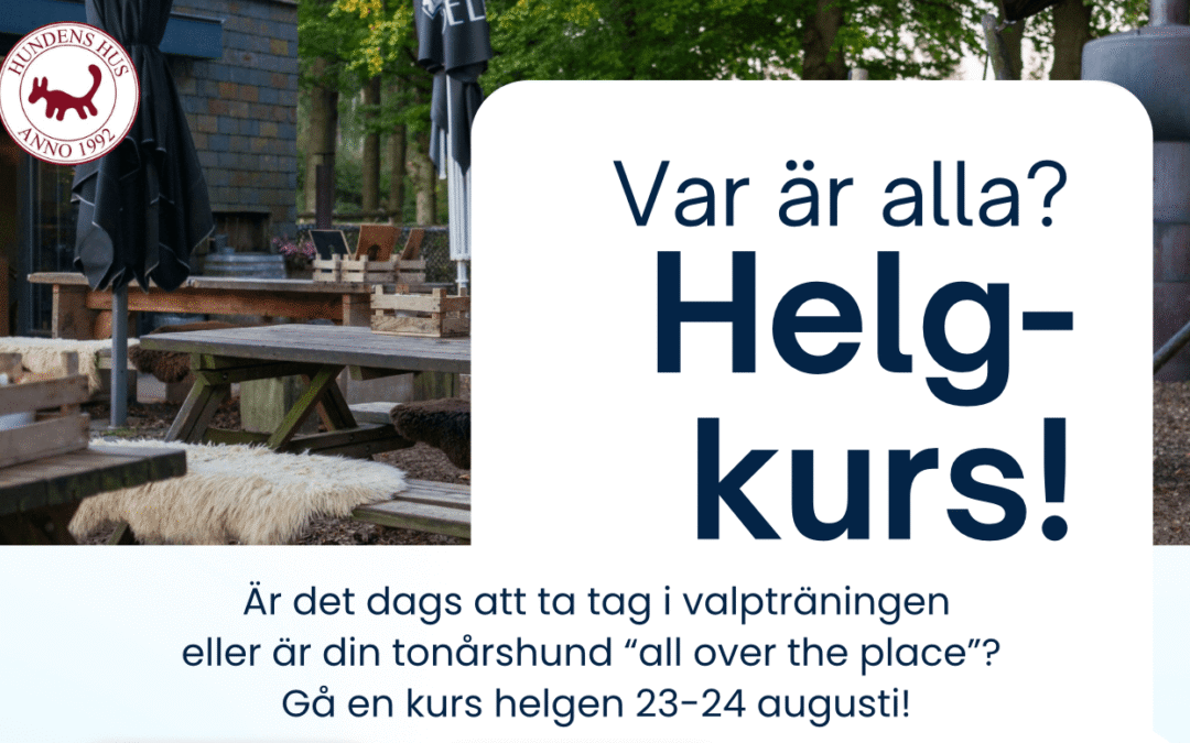 Gå en Valpkurs helgen 23-24/8