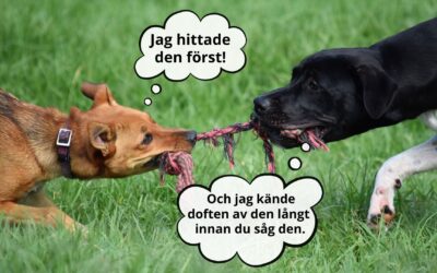 NW och Personspår = mental stimulans