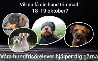 Dags för en trimning den 18 eller 19/10