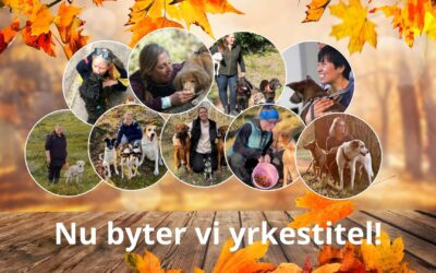Hundpsykolog blir Hundbeteendeutredare