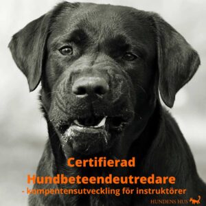 Hundbeteendeutredare, påbyggnadskurs för instruktörer,  fre-söndag 29-31/5 2026