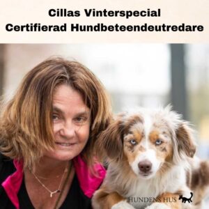 Cillas NyĂĄrsspecial Certifierad Beteendeutredare startar 4/1 2025