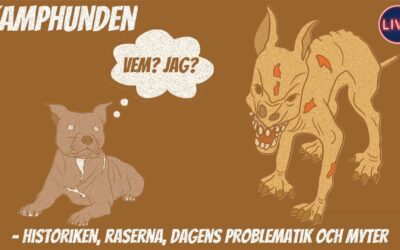 Kamphunden – LIVE ONLINE på Hundens Hus Play 27 april