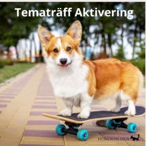 Tematräff Aktivering - Östermalm, söndag 14/62026