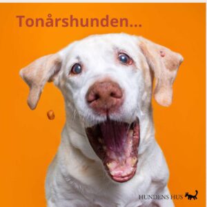 Tonårshunden - Åkeshov, 7/9 2026