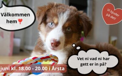 Välkommen hem valp 1/6 – vi bjuder på det!