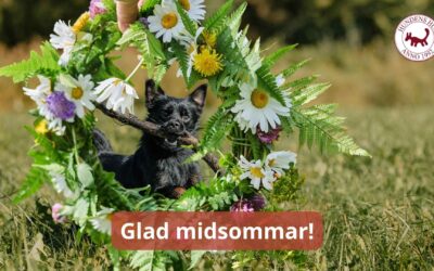 Glad midsommar🌞 – och tips för årstiden.