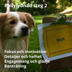 Rallylydnad steg 2 - Årsta, 1/12 2026 - 5 platser kvar