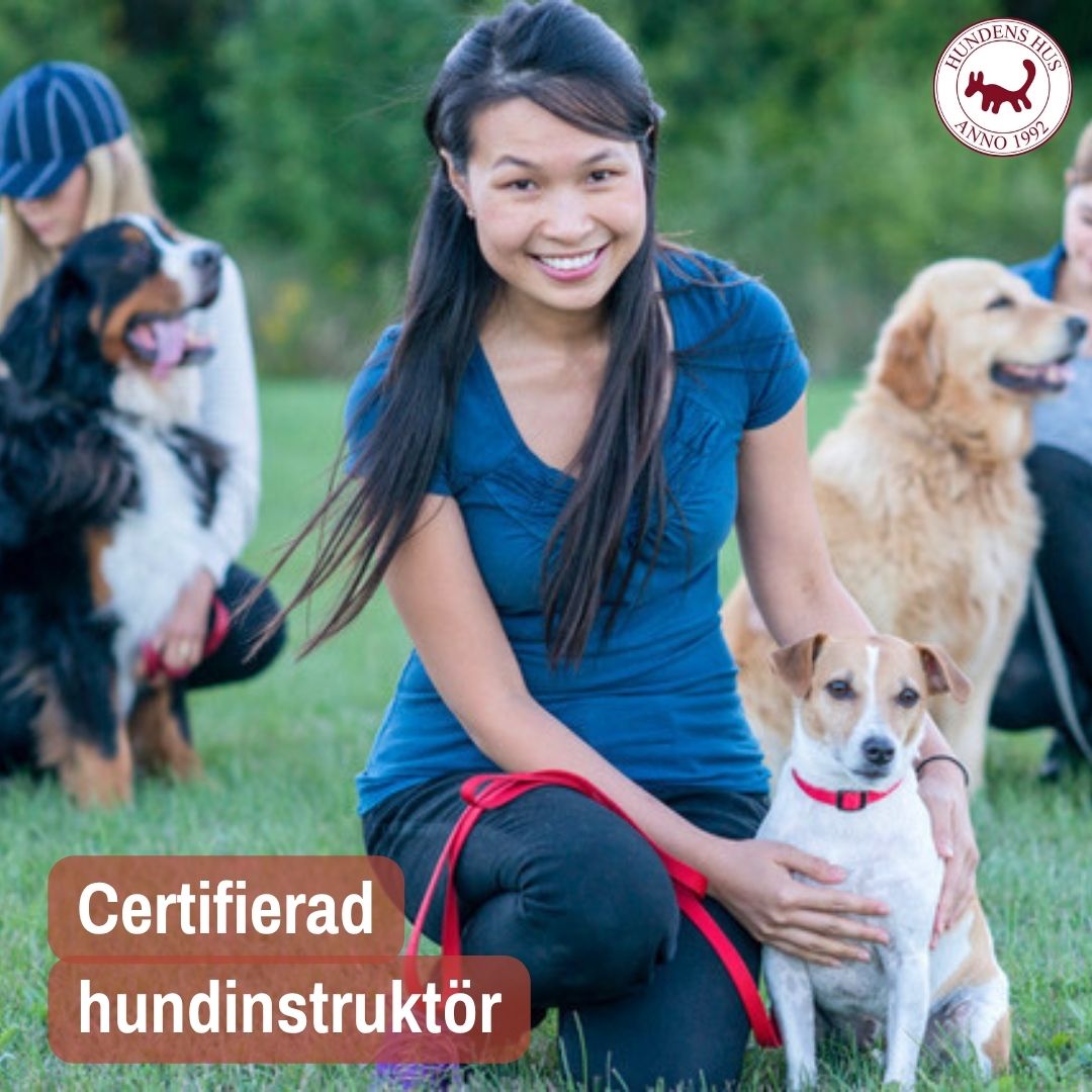 Certifierad Hundinstruktör 26-27/9 2026