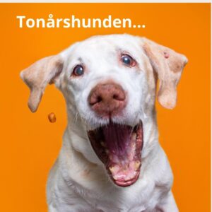 Tonårshunden - Östermalm, 1/9 2026