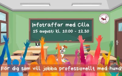 Cillas infoträffar om våra yrkesutbildningar LIVE ONLINE 15 augusti