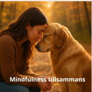 Tematräff Mindfulness  - Årsta, 24/11 2026