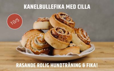 Kul hundträning och god fika i Åkeshov!