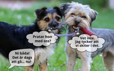 Känns det lite ofokuserat? Gå en kurs!